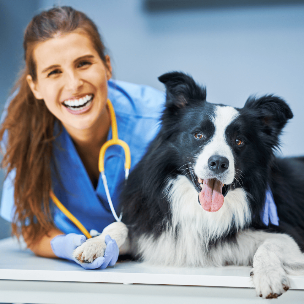 dyrlæge med smilende hund