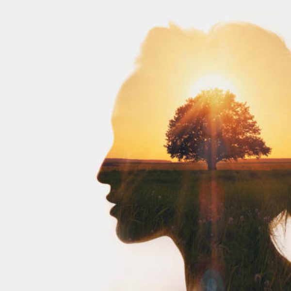 Personal development and business idea career concept.